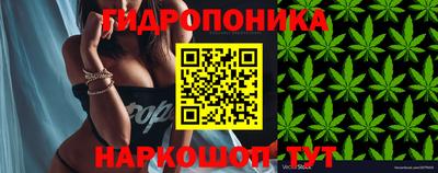 mdma Пугачёв
