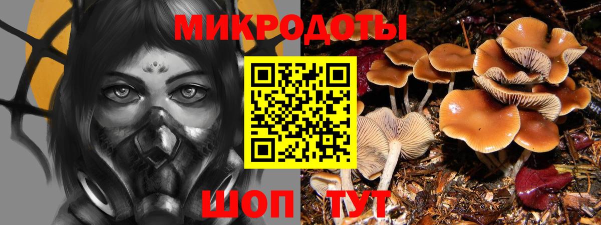Печора  Галлюциногенные грибы мицелий  Вход с VPN 