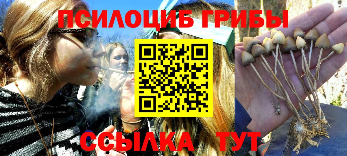 Галлюциногенные грибы GOLDEN TEACHER Печора